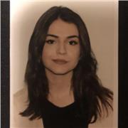 Insegnante con preparazione multidisciplinare